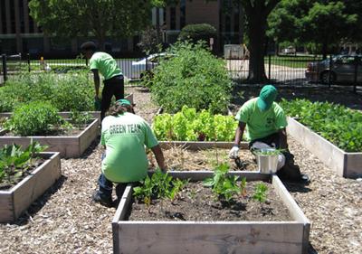 ETHS students garden. 