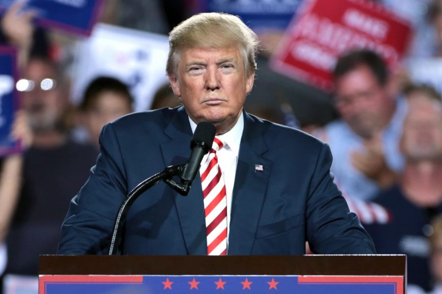 President Donald Trump at campaign rally in Arizona in 2016.