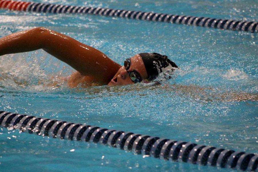 Senior+captain+Halley+Seed+swims+the+freestyle.