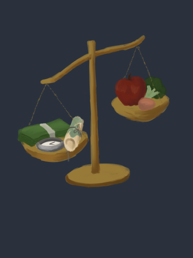 The+wealthier%2C+the+healthier%3B+how+socioeconomic+status+affects+eating+habits