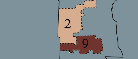 The Evanstonians guide to the 2023 Second and Ninth Ward elections