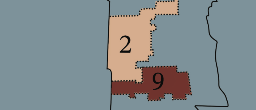 Incumbents+retain+Second%2C+Ninth+Ward+seats%2C+while+voters+elect+mixture+of+existing%2C+new+members+to+D202%2C+D65+school+boards