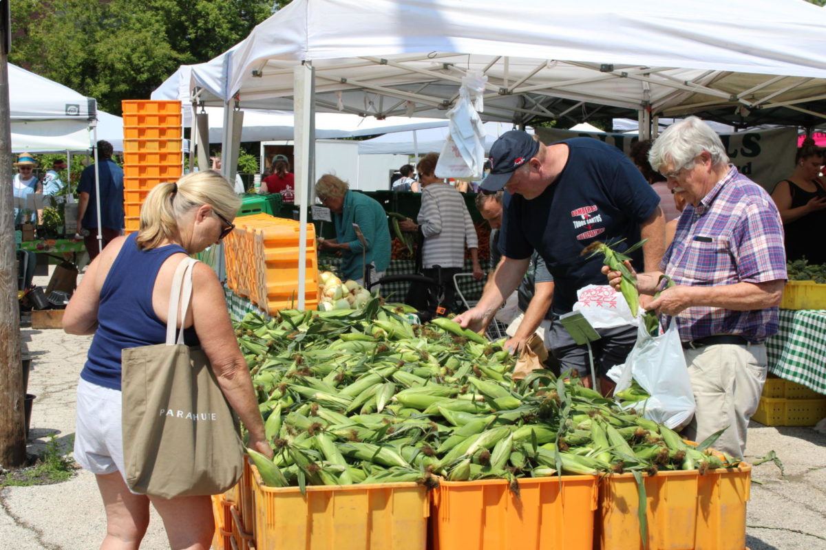 Wilmette and Evanston residents buy corn from the Evanston Farmers Market.