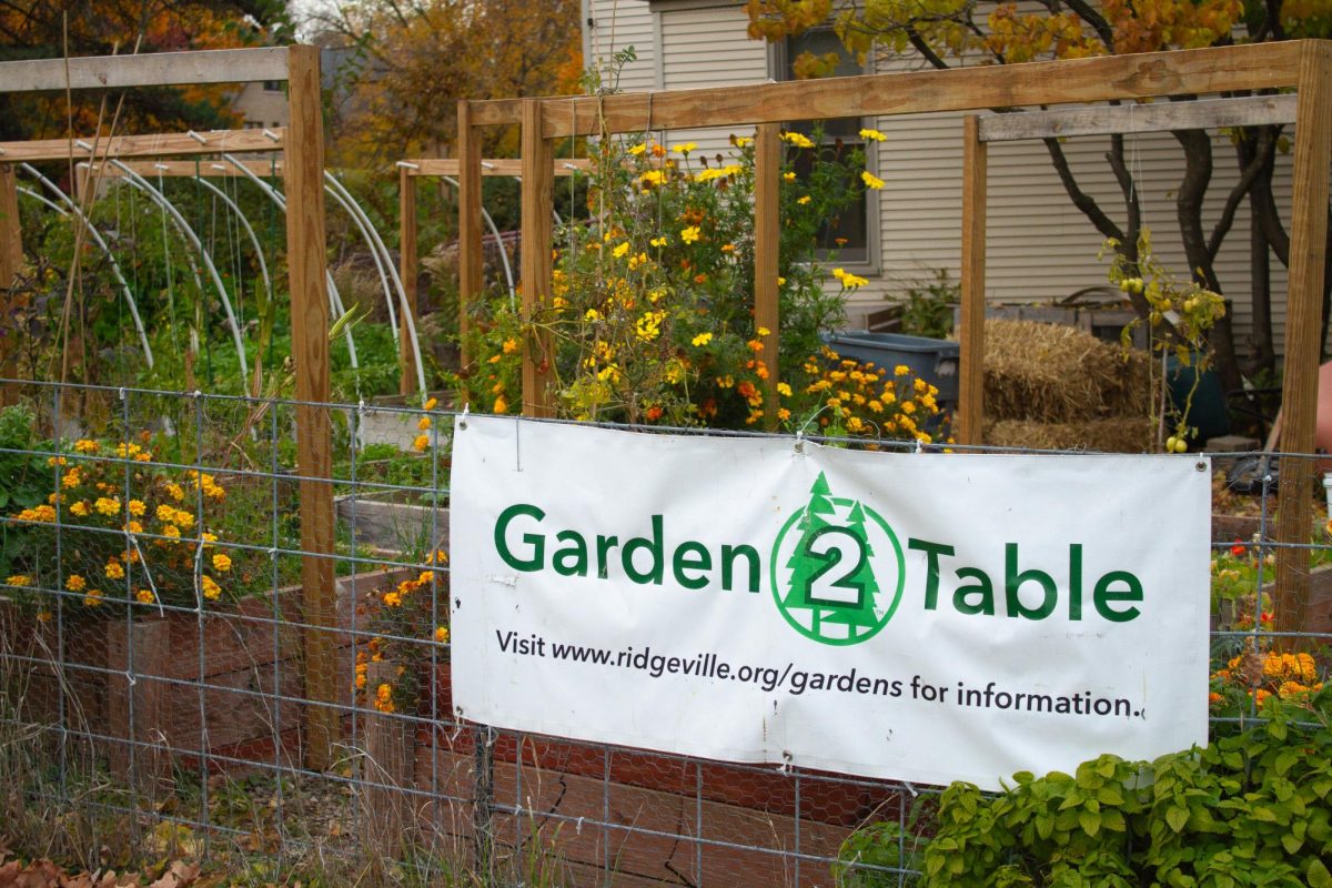Growing together: ETHS students help feed Evanston through gardening