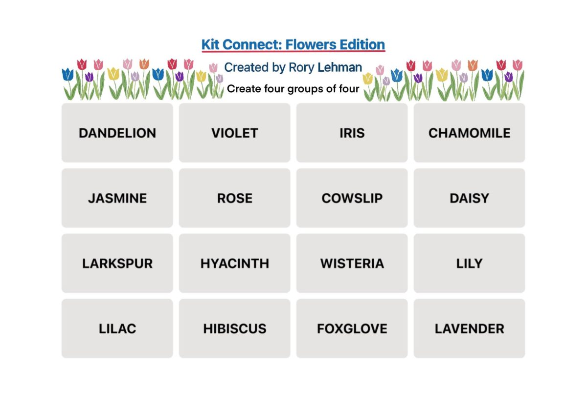 Kit Connect: Flowers Edition